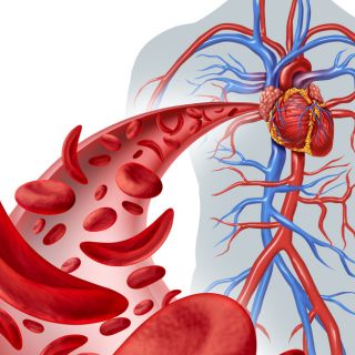 Poprawa krążenia krwi